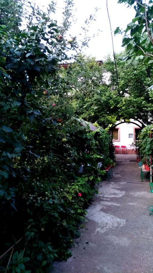 Casa Din Gradina Villa Eforie Sud  Dış mekan fotoğraf