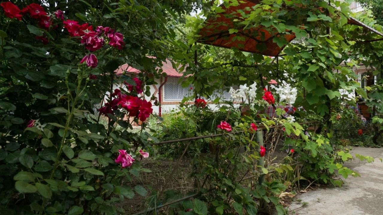 Casa Din Gradina Villa Eforie Sud  Dış mekan fotoğraf